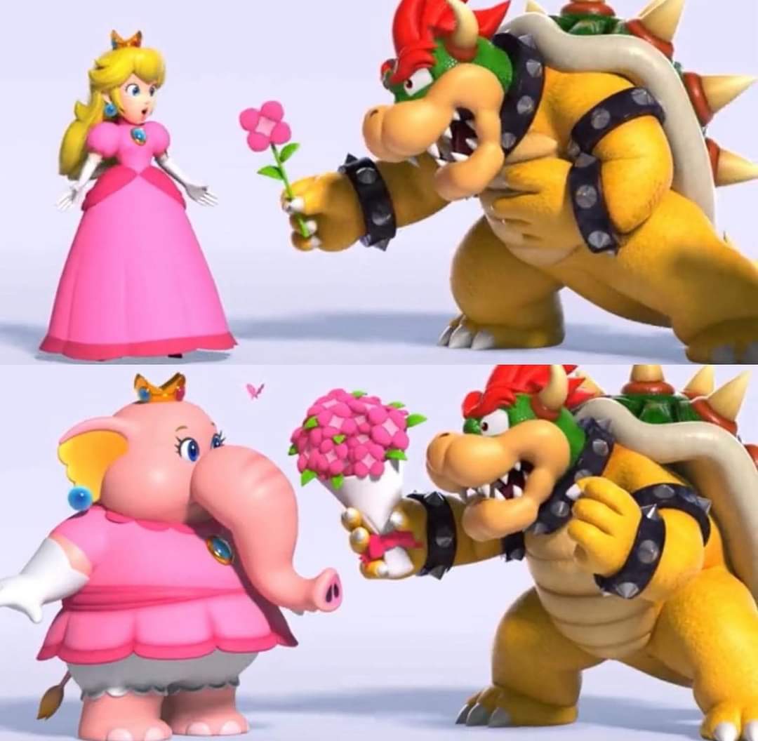 picture of bowser